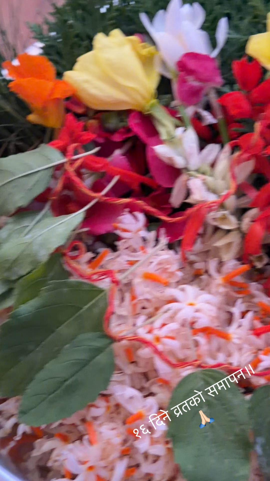 @🧿🕊️🇳🇵🧿