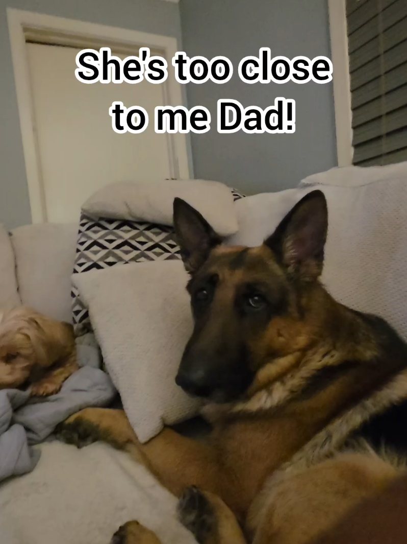 @BuddyandMikes Pal