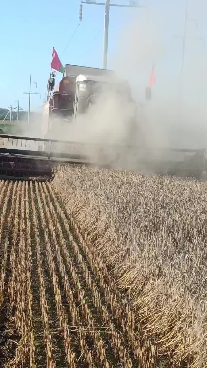 @Андрей