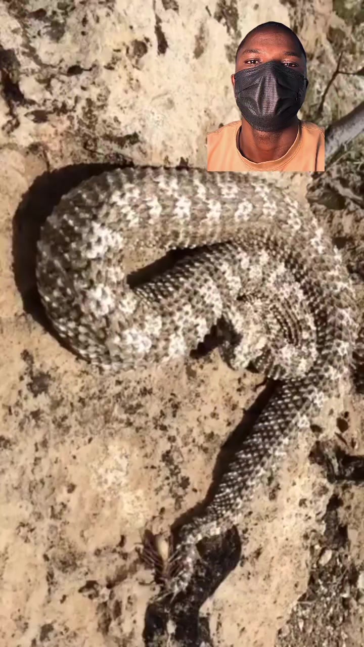 @Arojinle