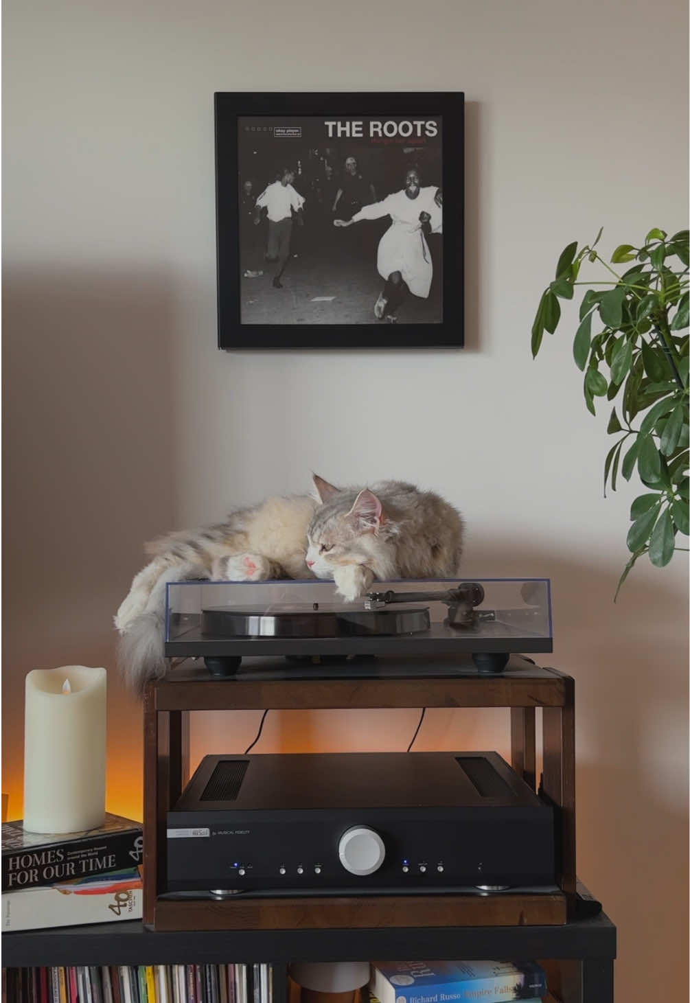 @Leon The Vinyl Cat