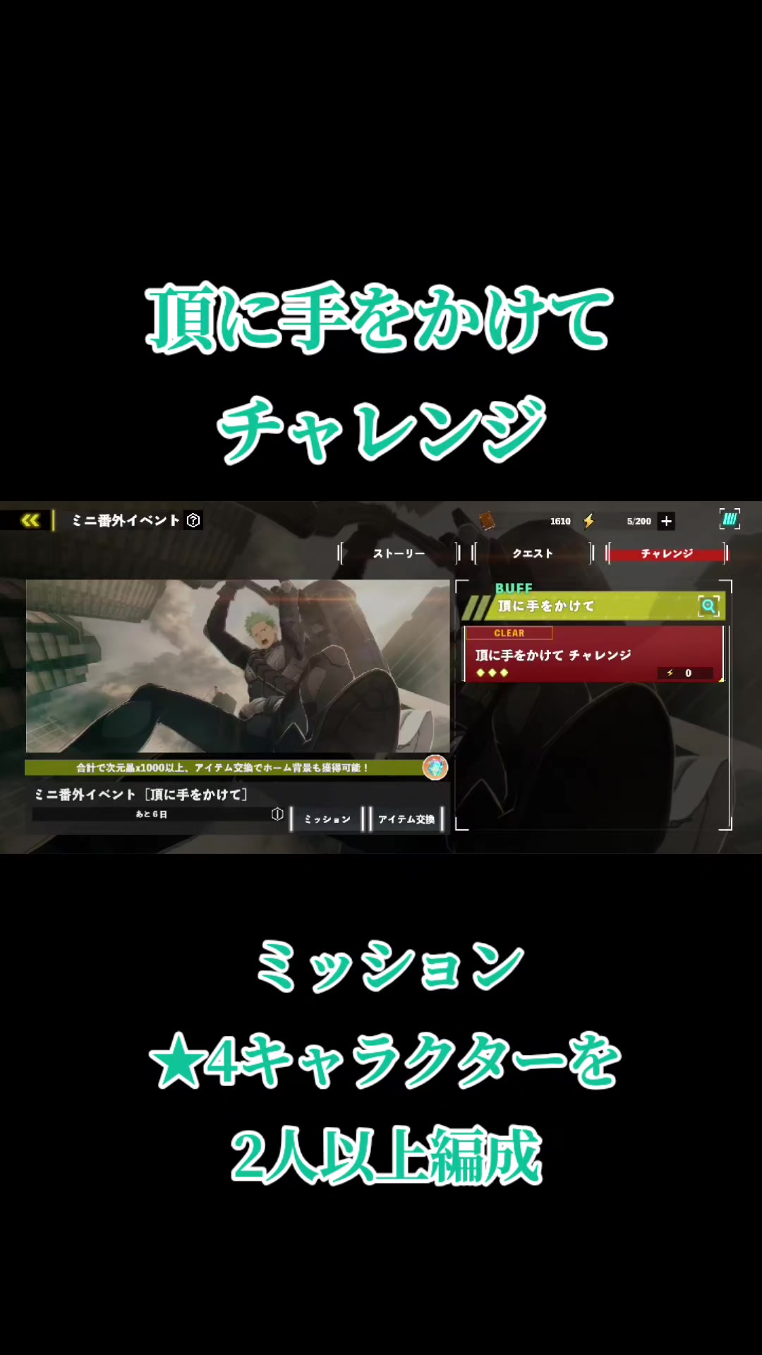 @猫