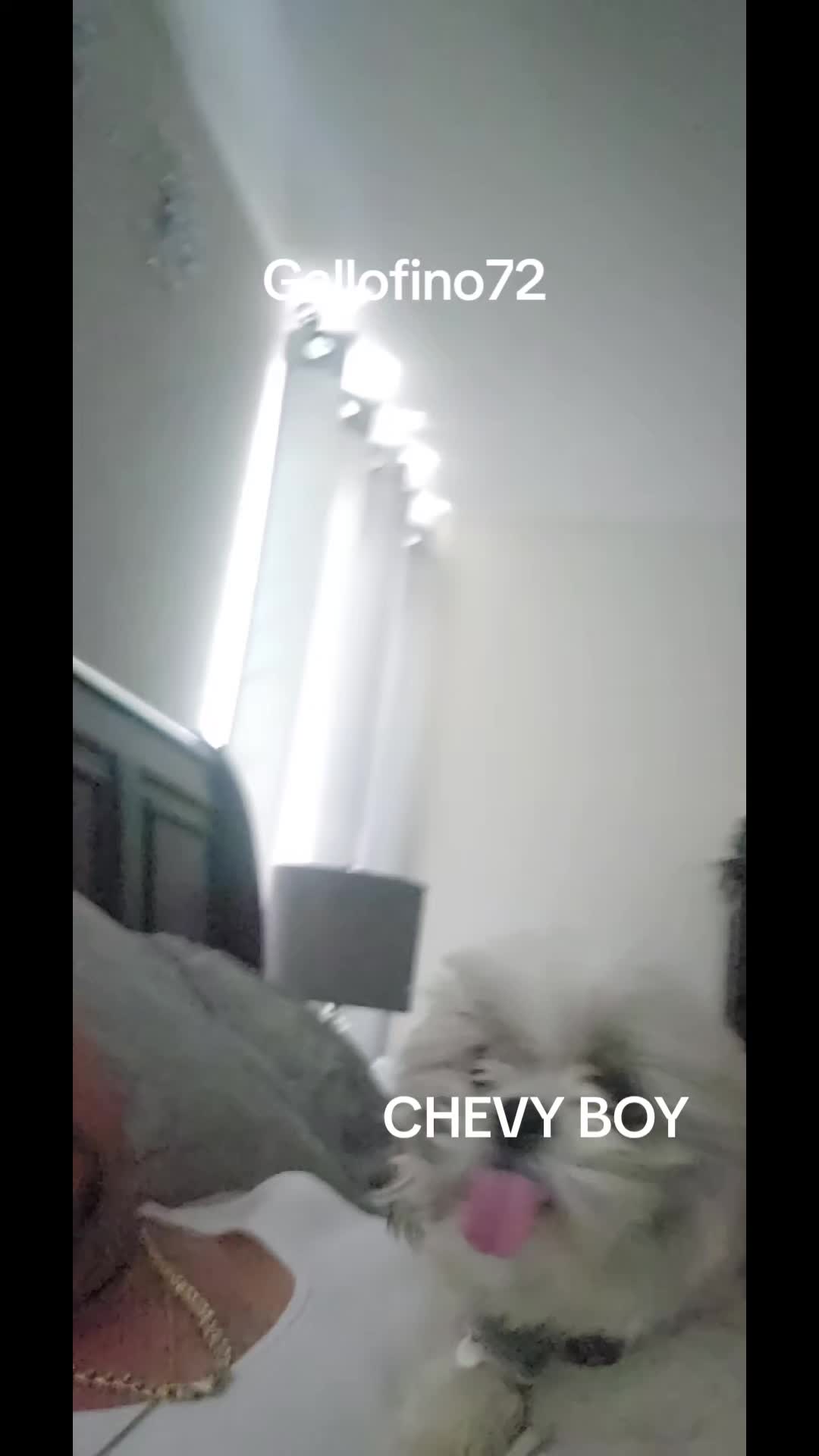 @ElGalloFino