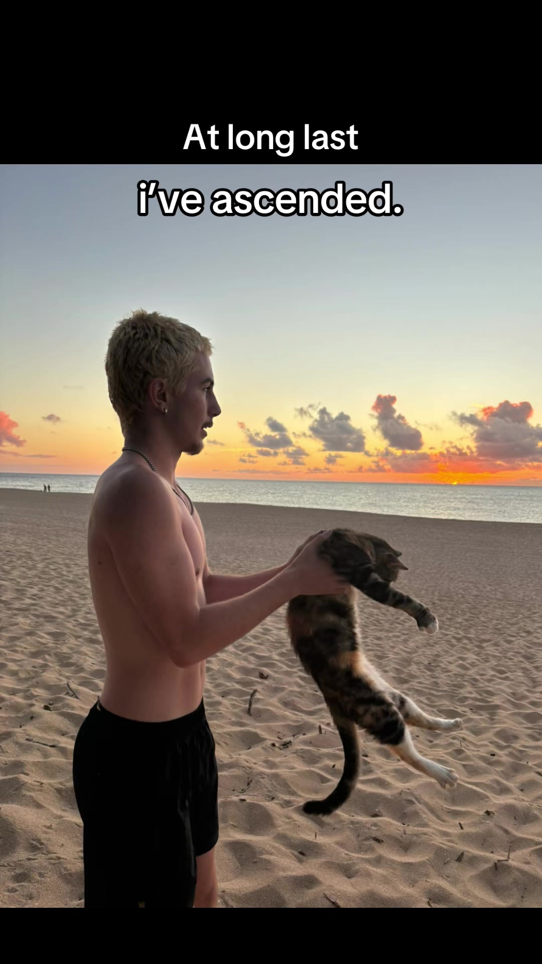 @𝓑𝓻𝓪𝔁𝔁