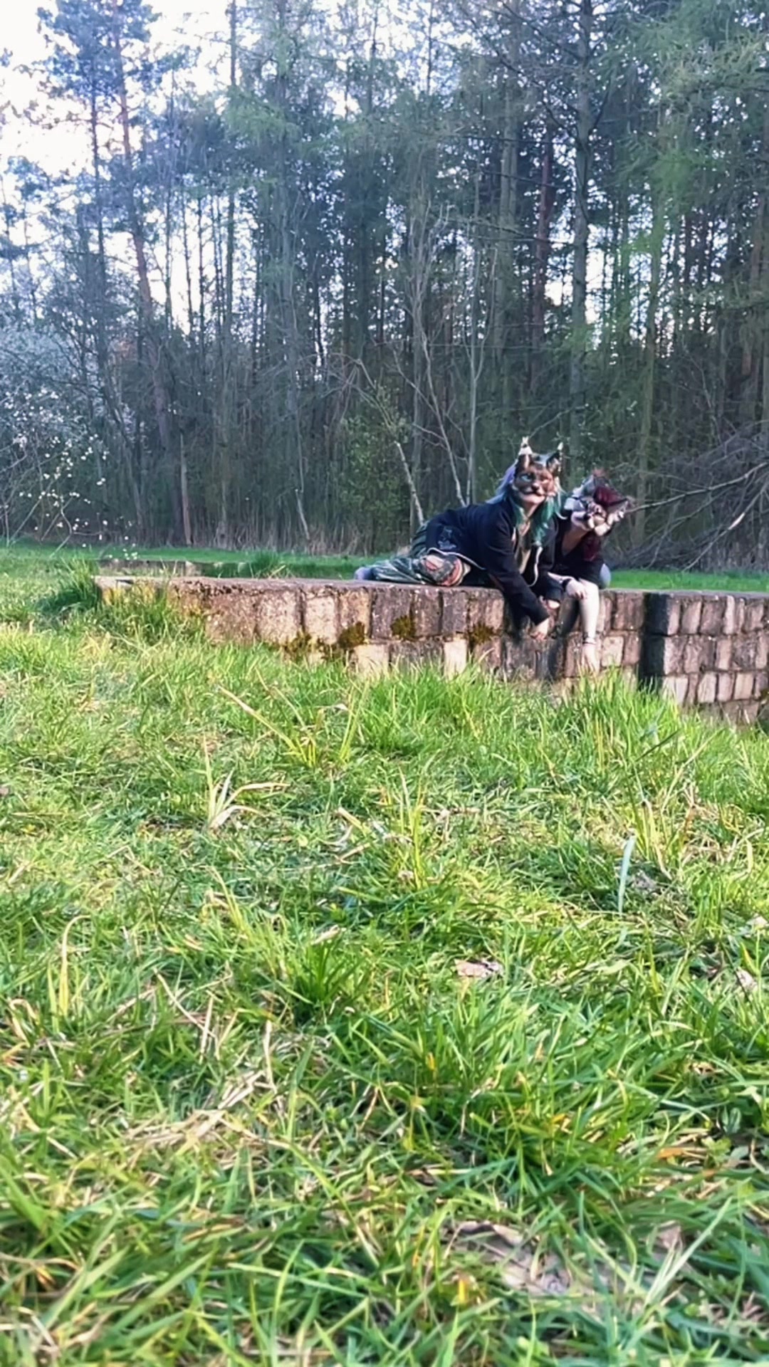 @🪲 ✩🌻 ᴊᴇꜱꜱᴇ 🐝 *ੈ✩‧₊˚