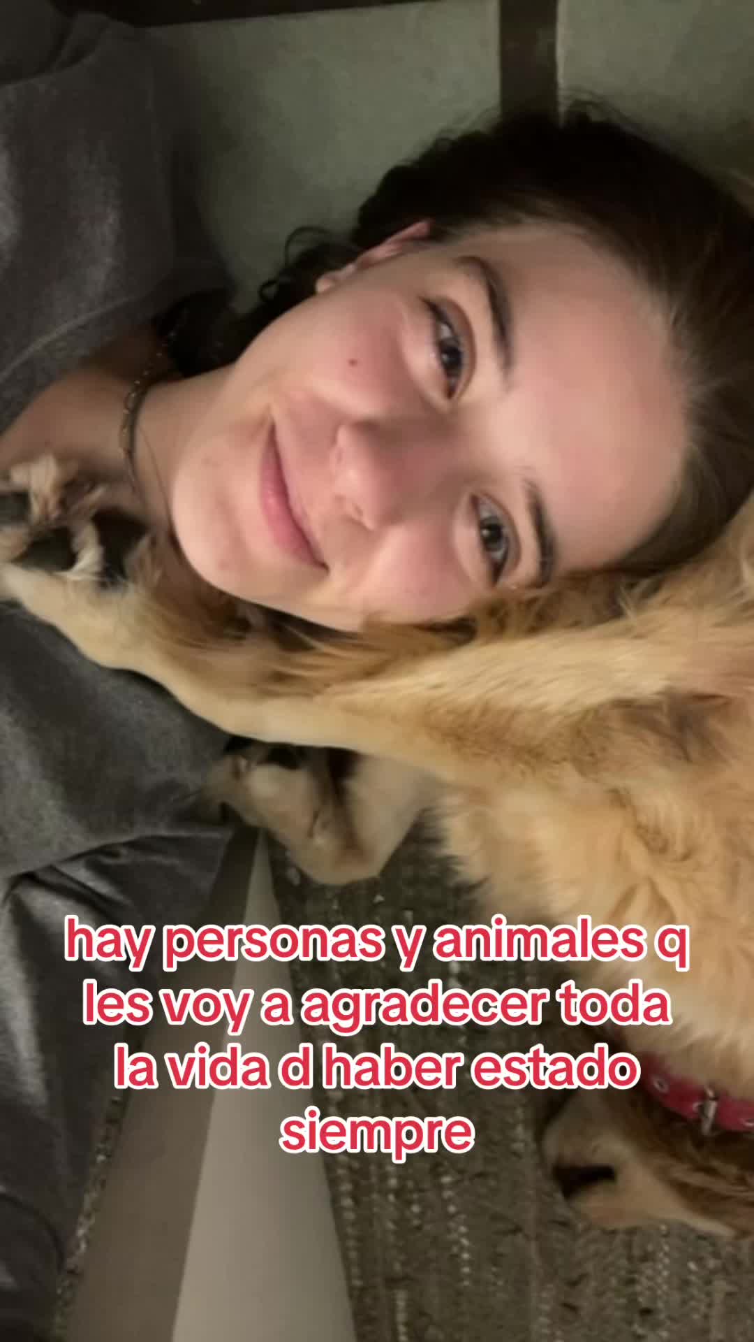 @Sofi
