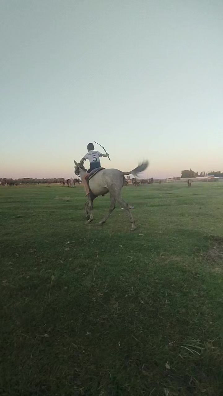 @sanjar9617
