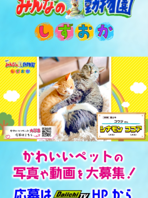 @Daiichi-TV