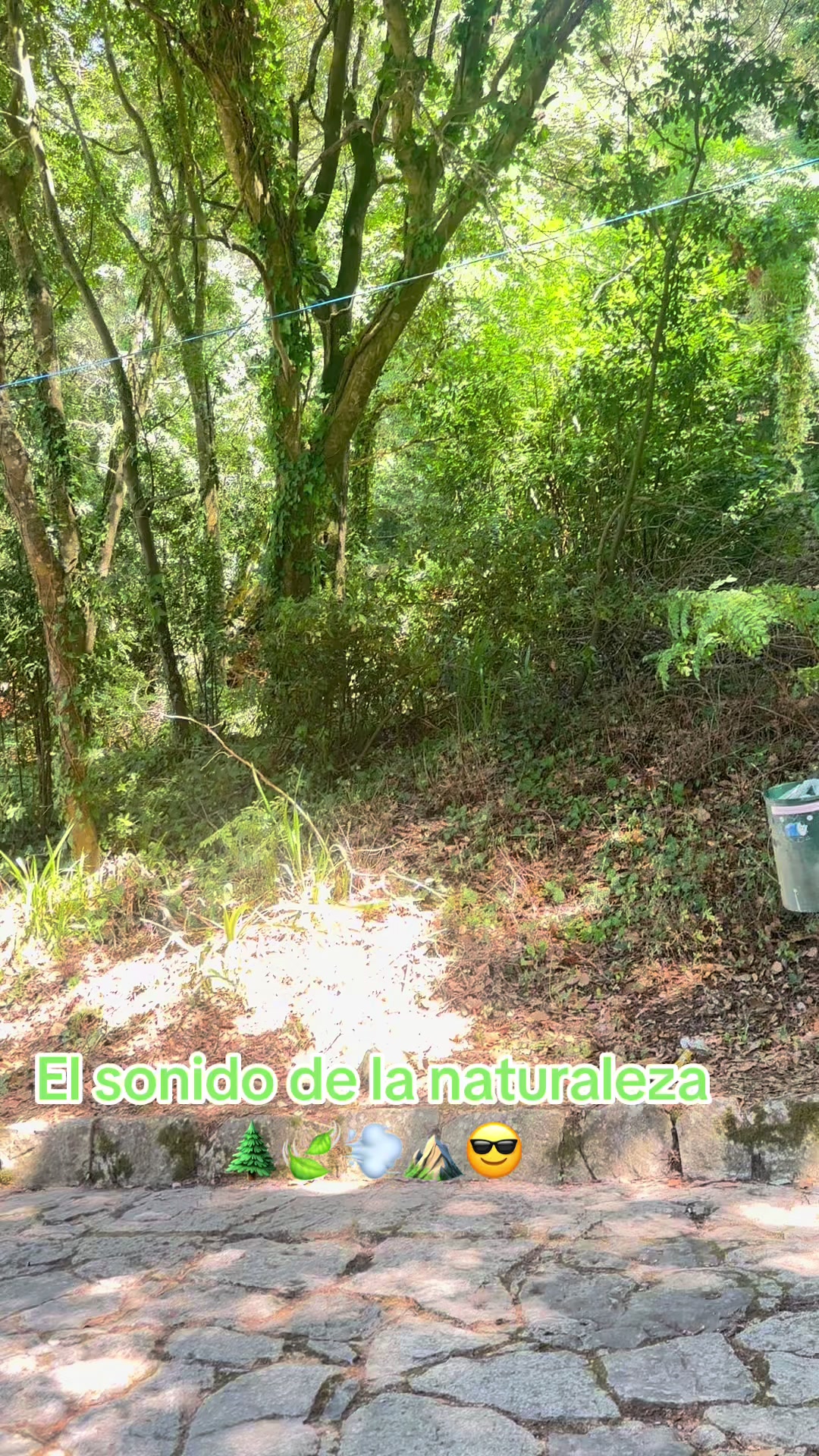 @la Bombona SV 🇸🇻 ⚔️👸🏼💚🐱