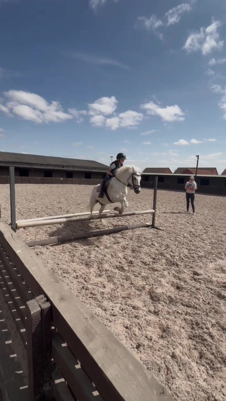 @LottiesHorseAdventures🦄🐴