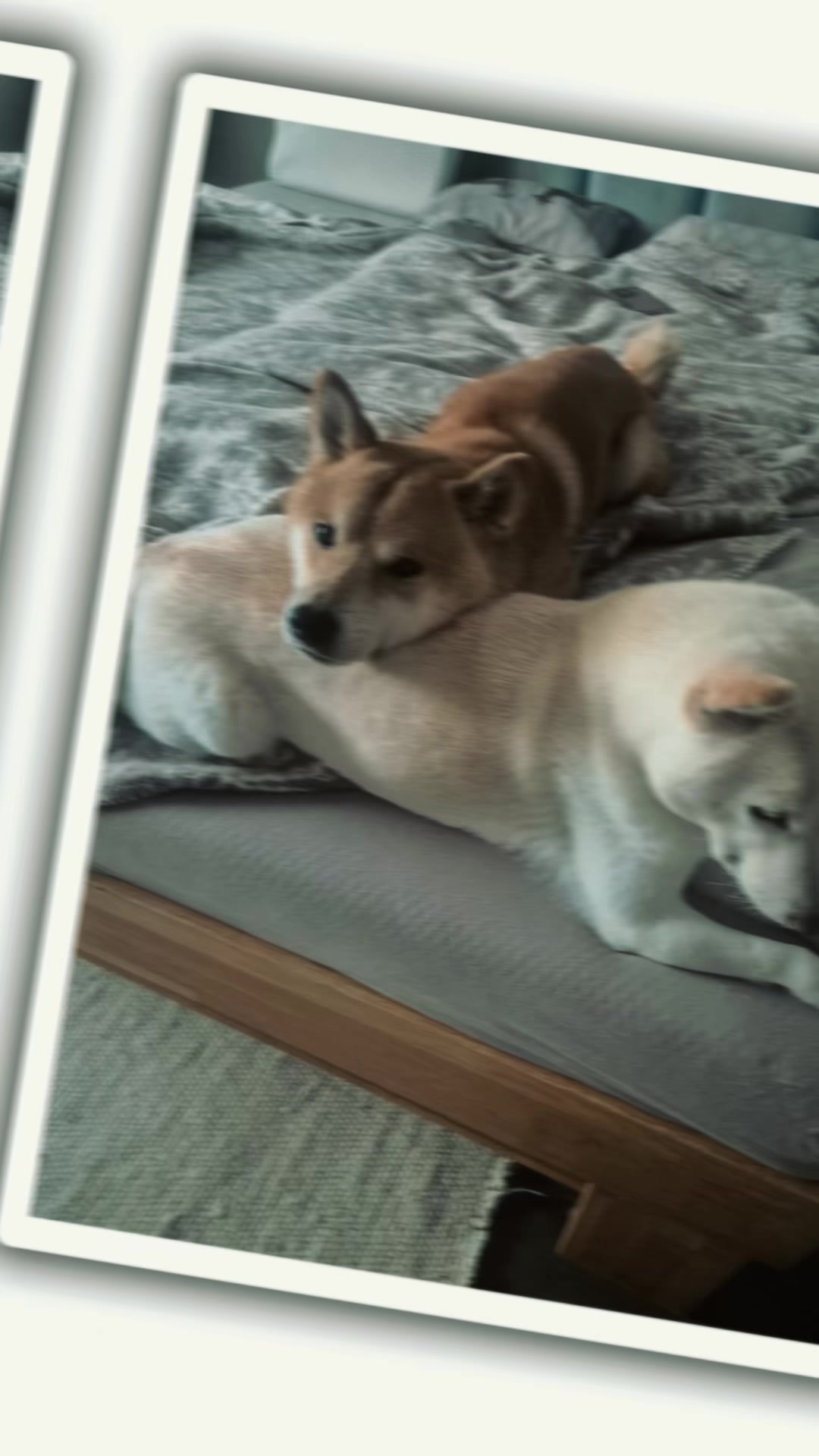 @Akihiro & Yuki