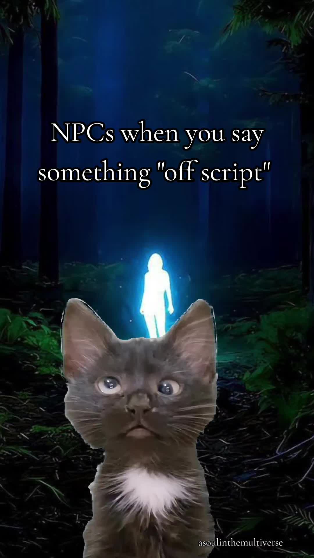 @A Soul in the Multiverse