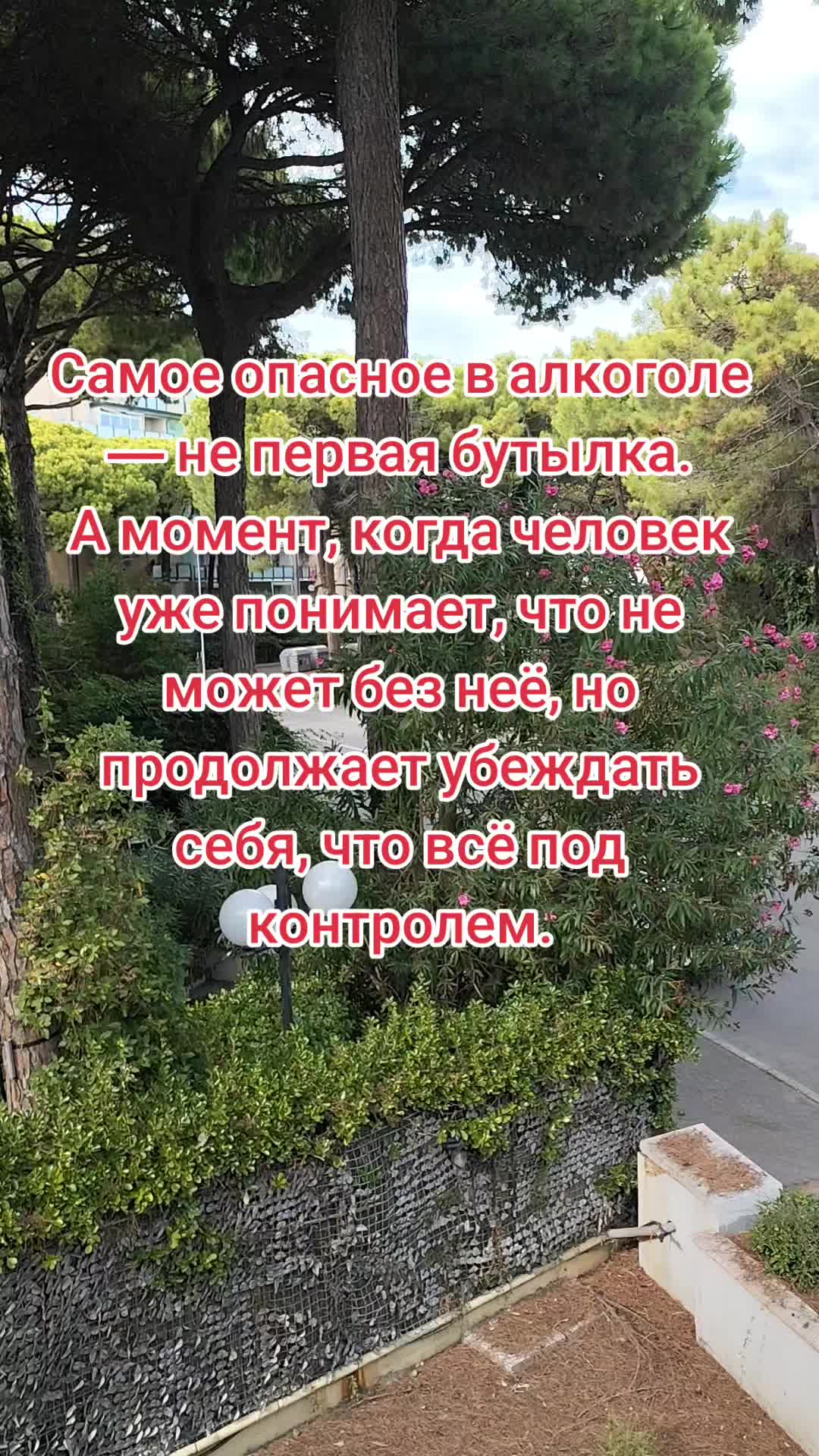 @Alex AA
