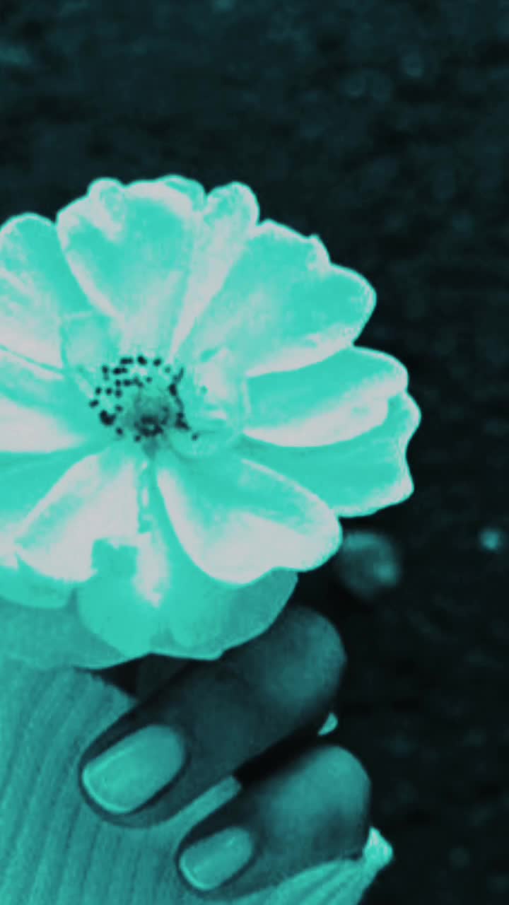 @MELLI𓆩ᥫ᭡𓆪