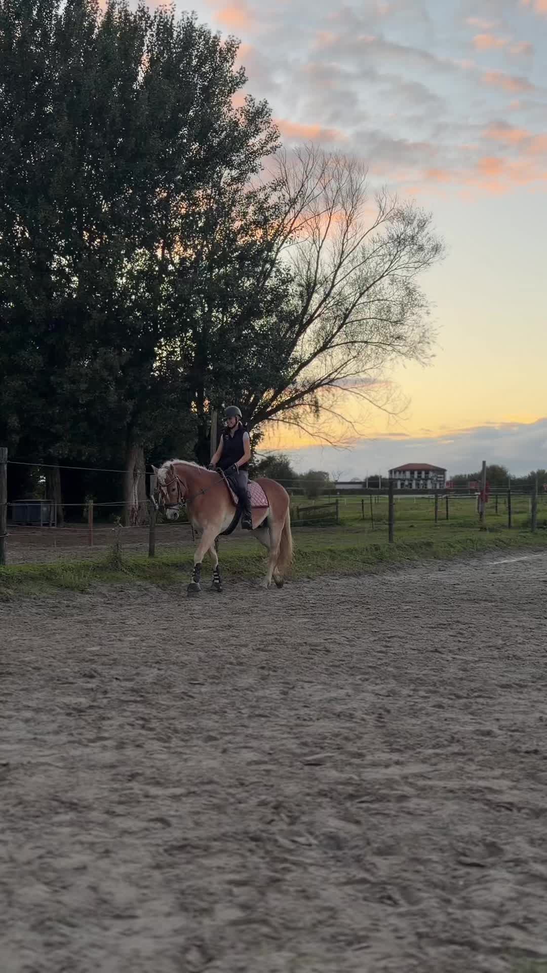 @Sanne-Jasmijn💗⭐️