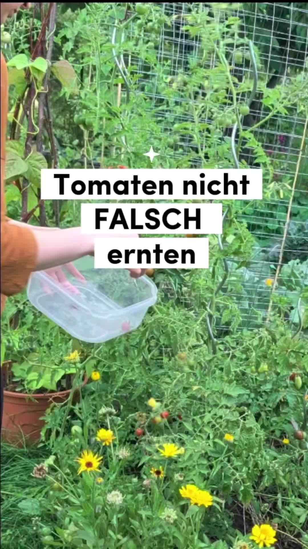 @ErnteExperte
