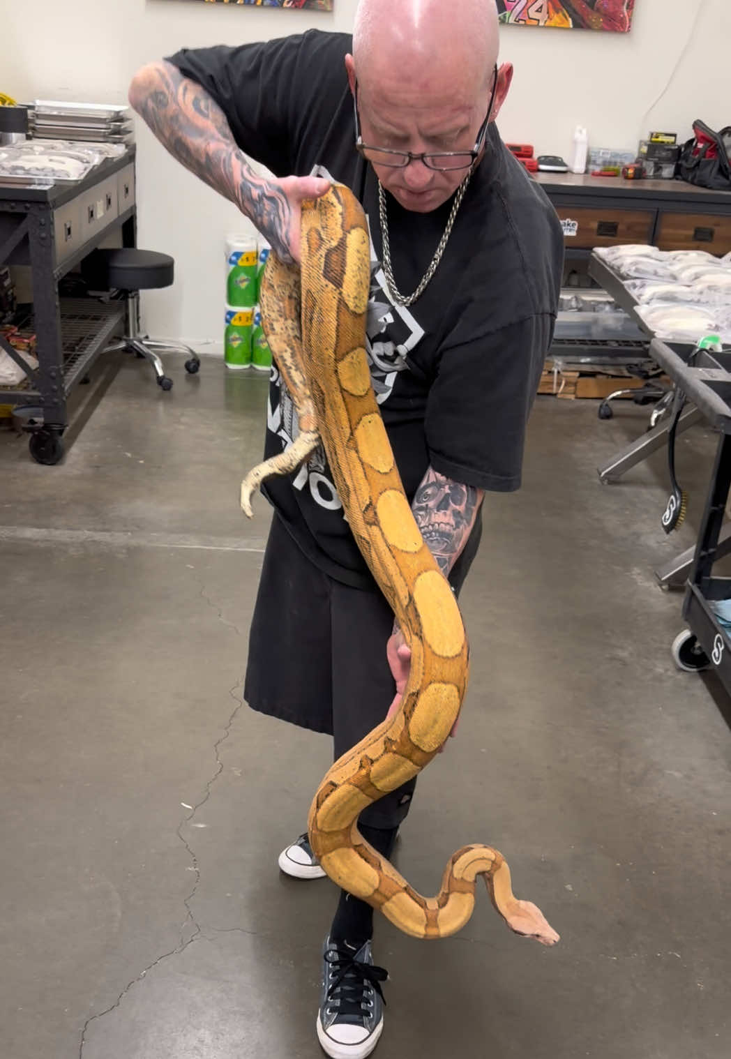 @Snake Country