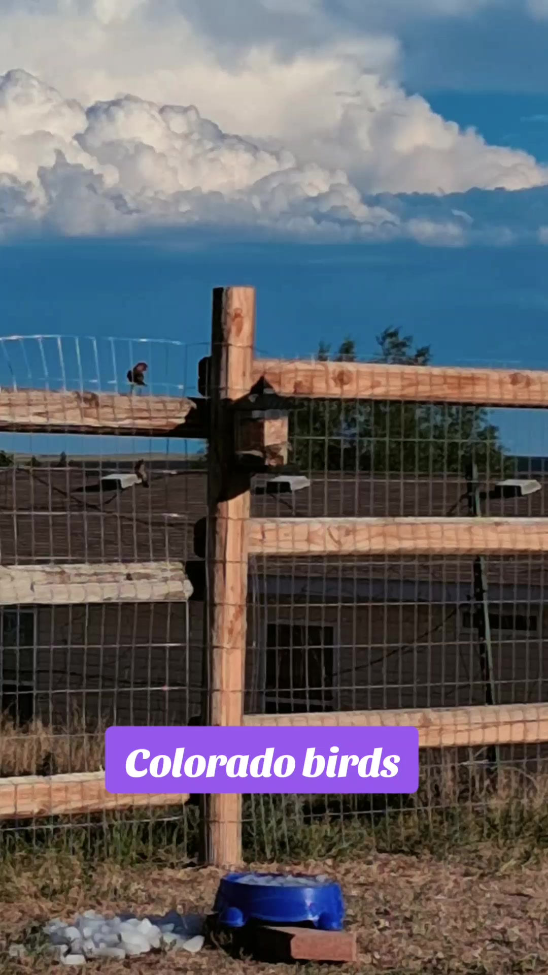@dude.guy