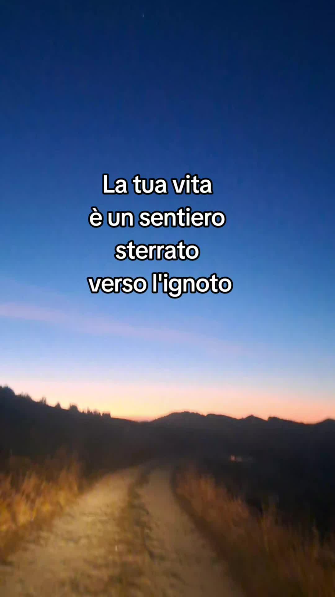 @Liana 63