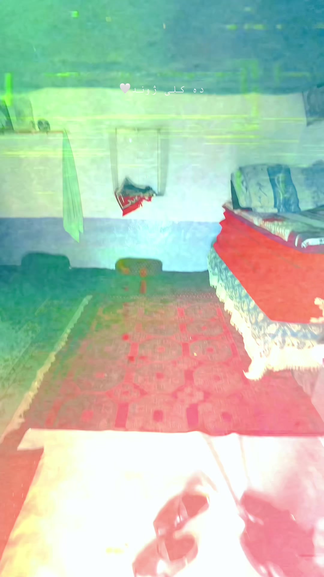 @𓆩𝐘 ᴛᴜʀɪ𓆪✪
