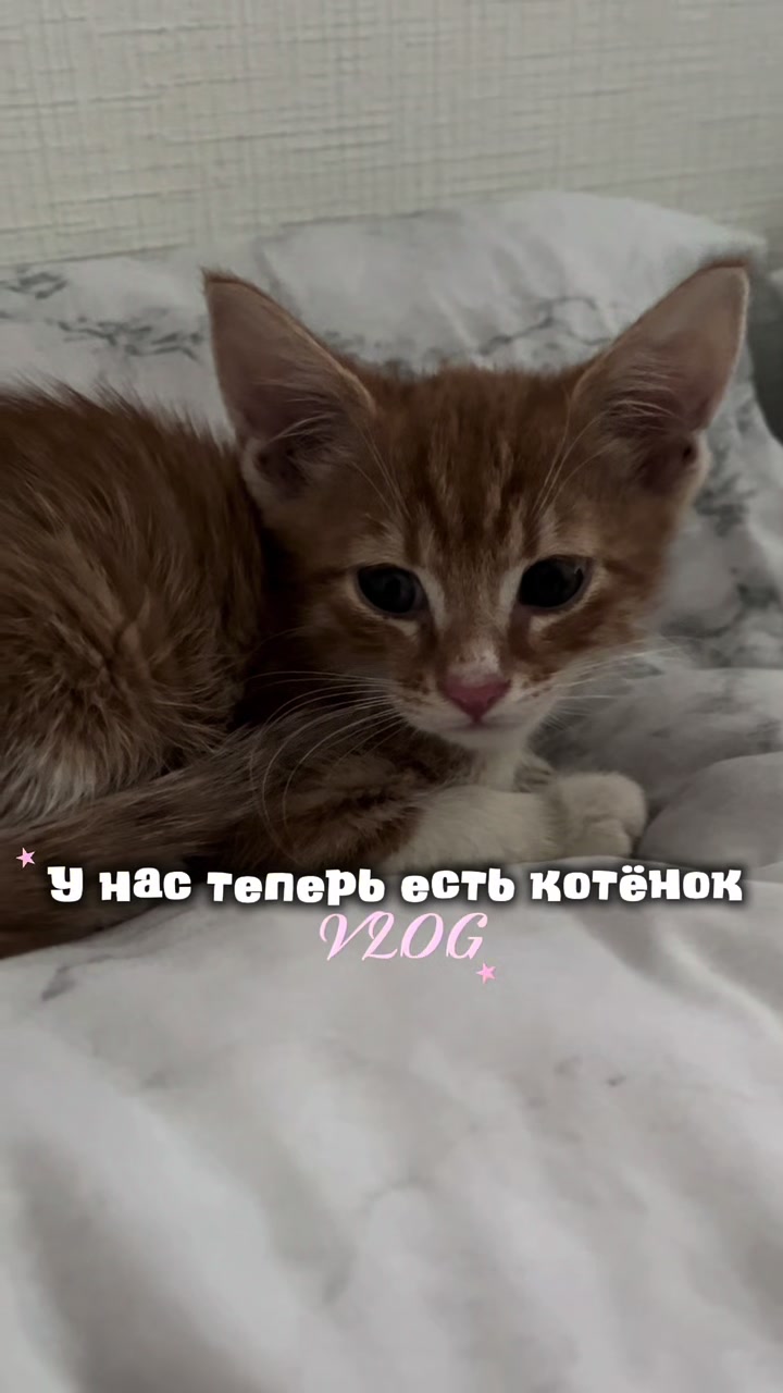 @тгк: kamiirss