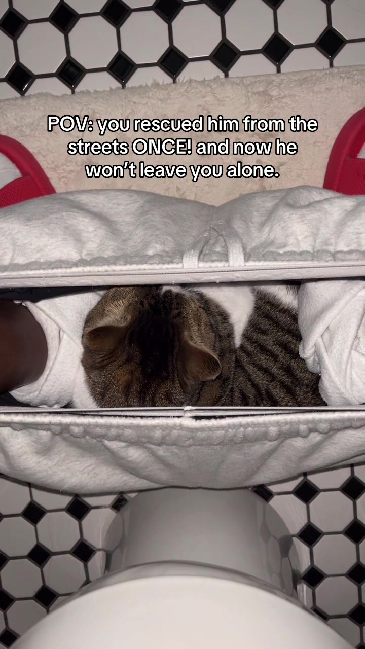@๐ณ๐๐ผ๐ ๐ณ๐๐๐๐๐