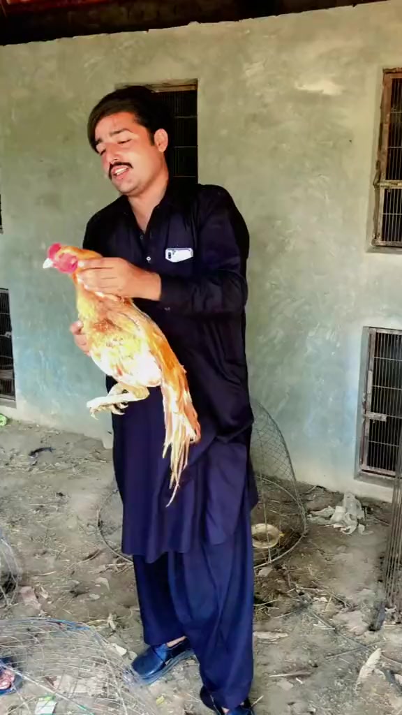 @Yasir Niazi R S ❤️ 2️⃣2️⃣2️⃣