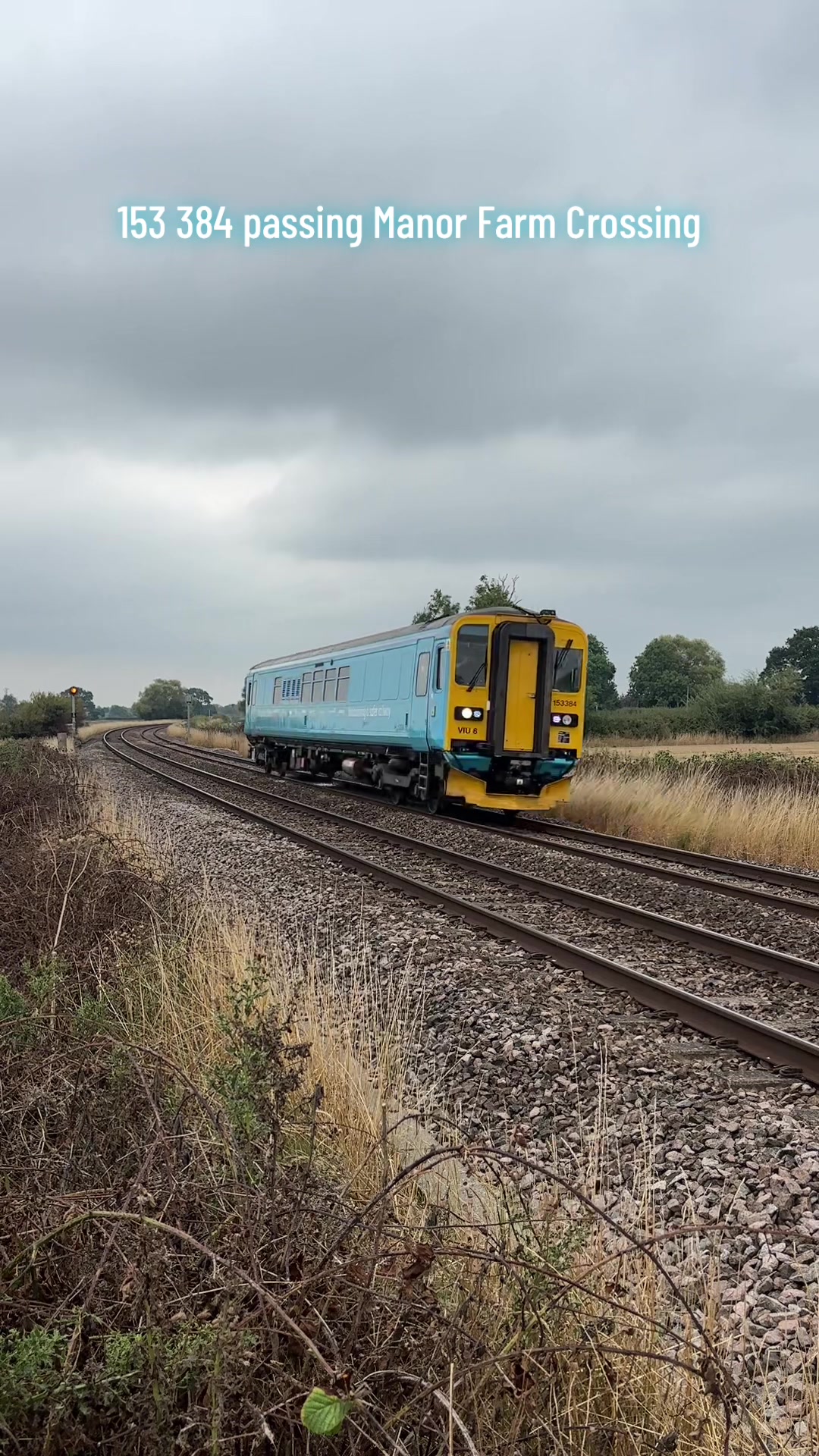 @The Duo of Train Lovers