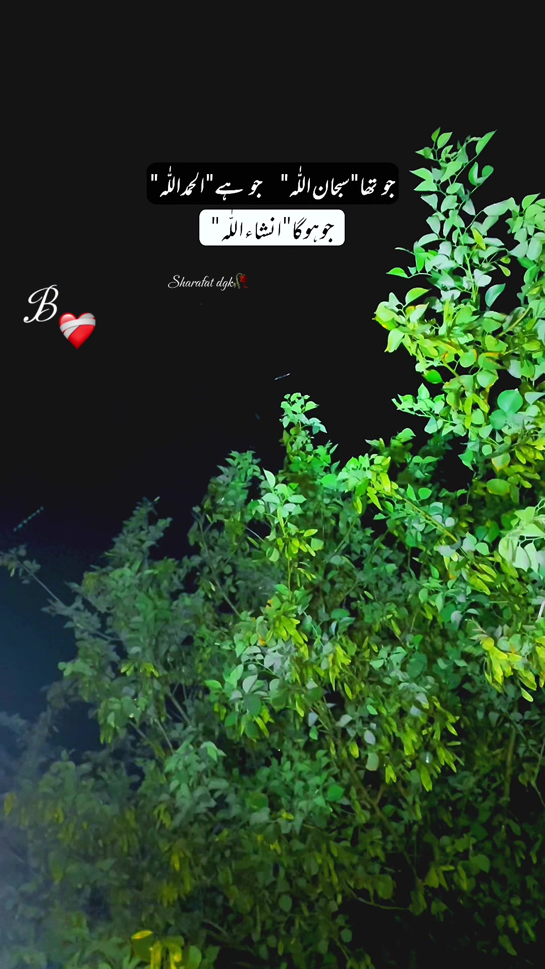 @❤️🔥تنہا مسافر🌙