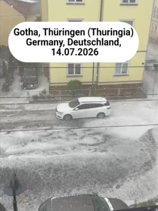 @Tetova News
