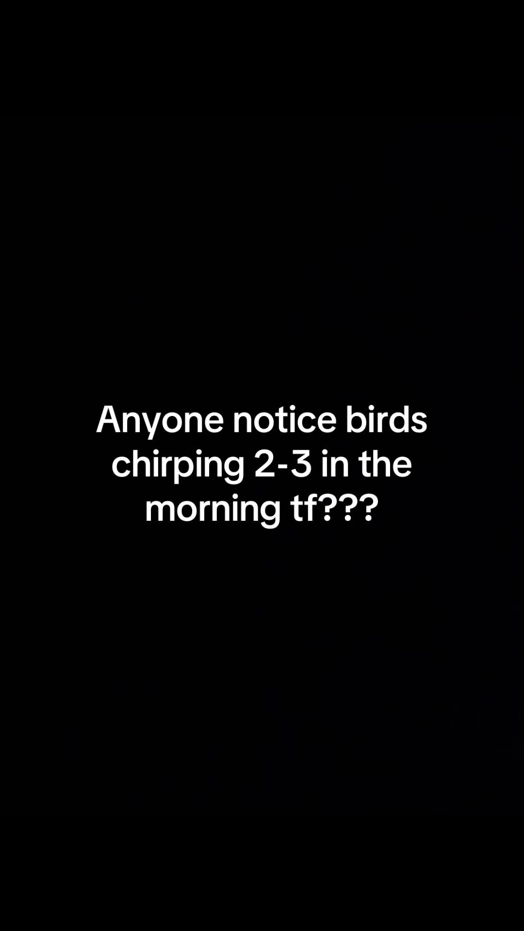 @dirtbike 300