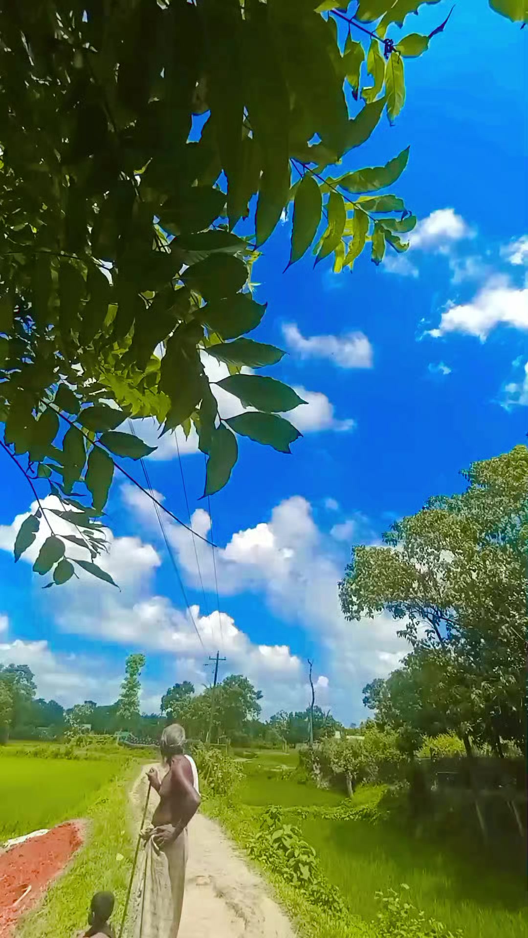 @꧁ᴾคᴿꪜᴇＺ꧂