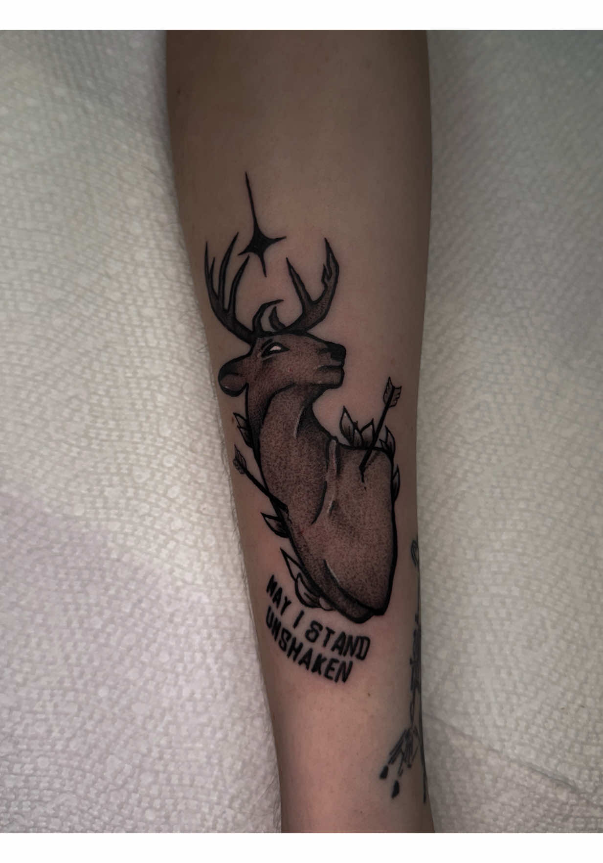 @Delaney Rose Ink