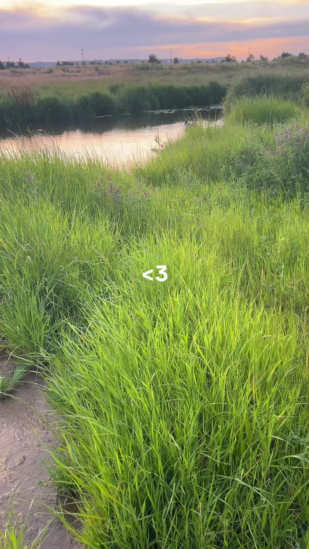 @ceci <3
