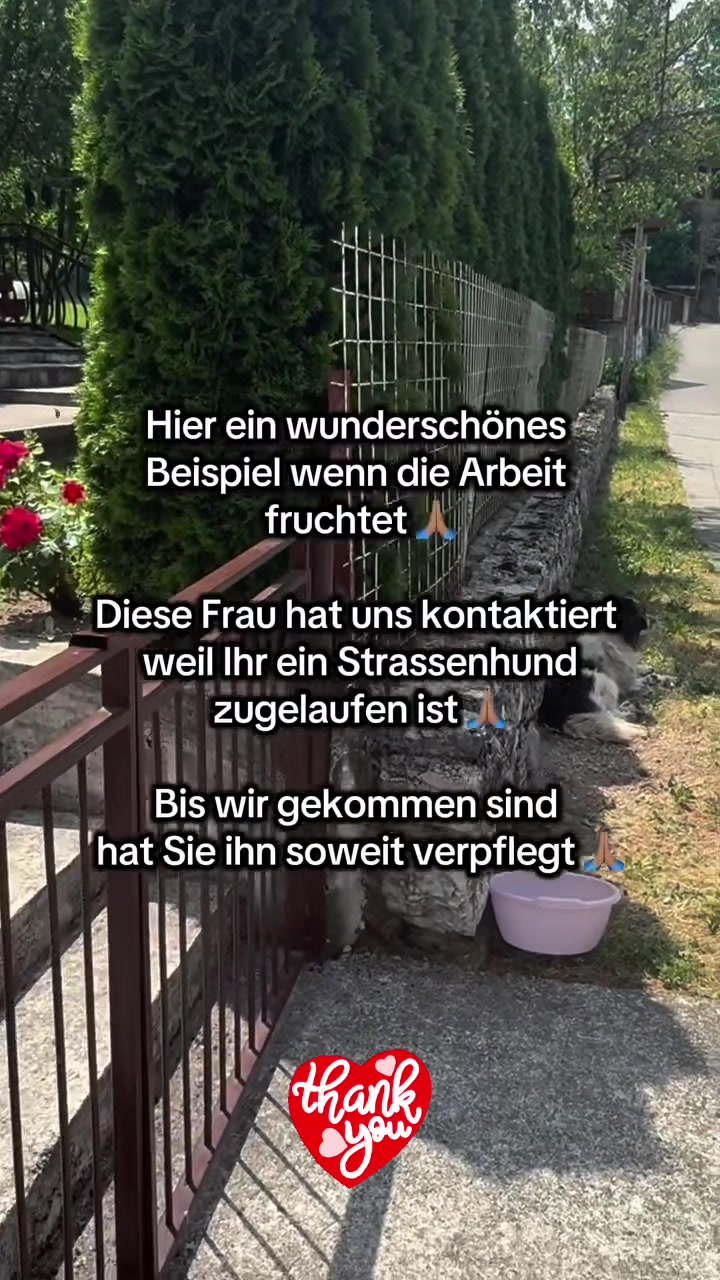 @㉦➢RLF🇩🇪