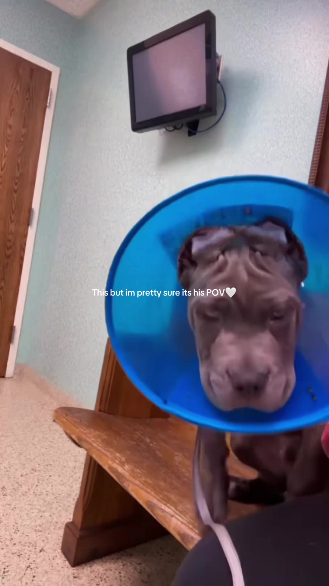 @GG