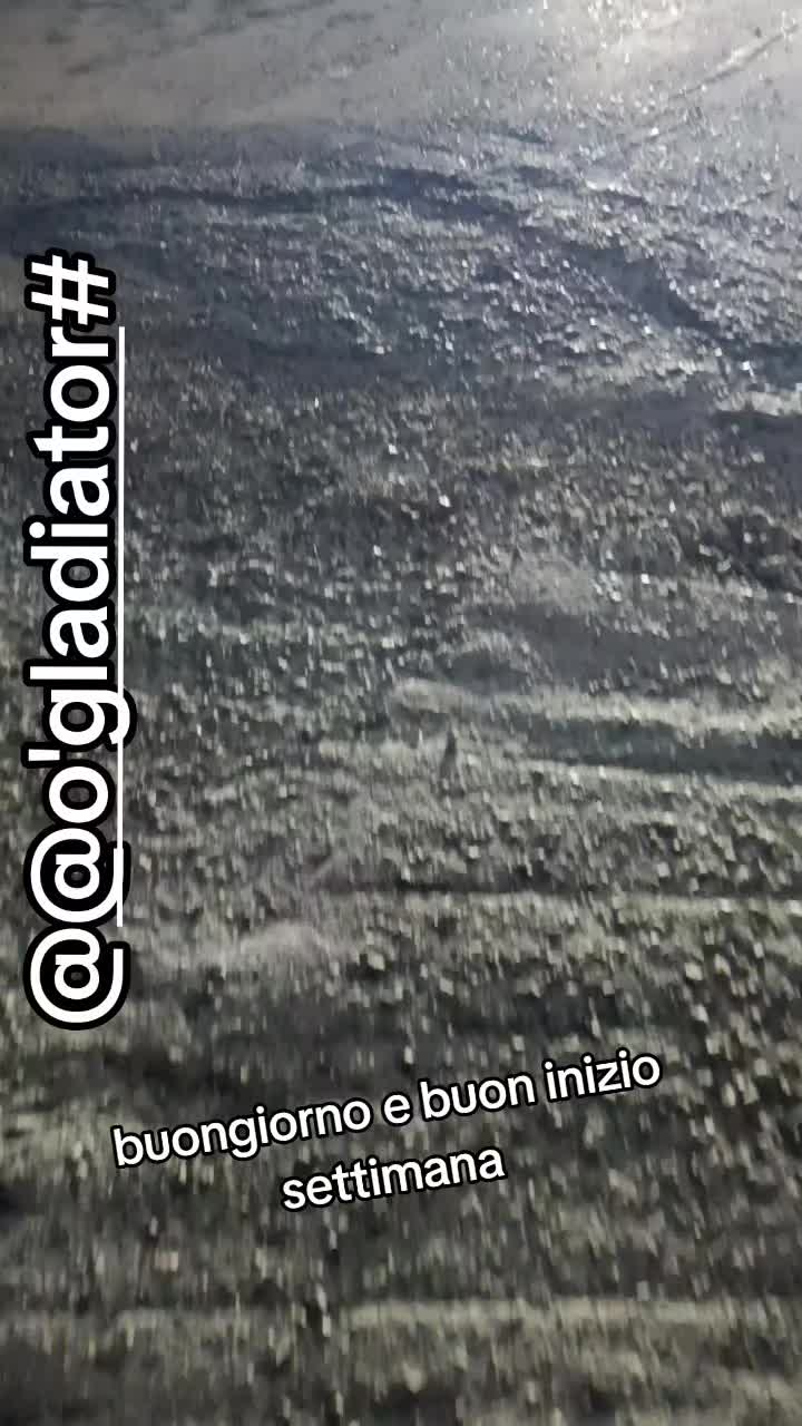 @@o'gladiator