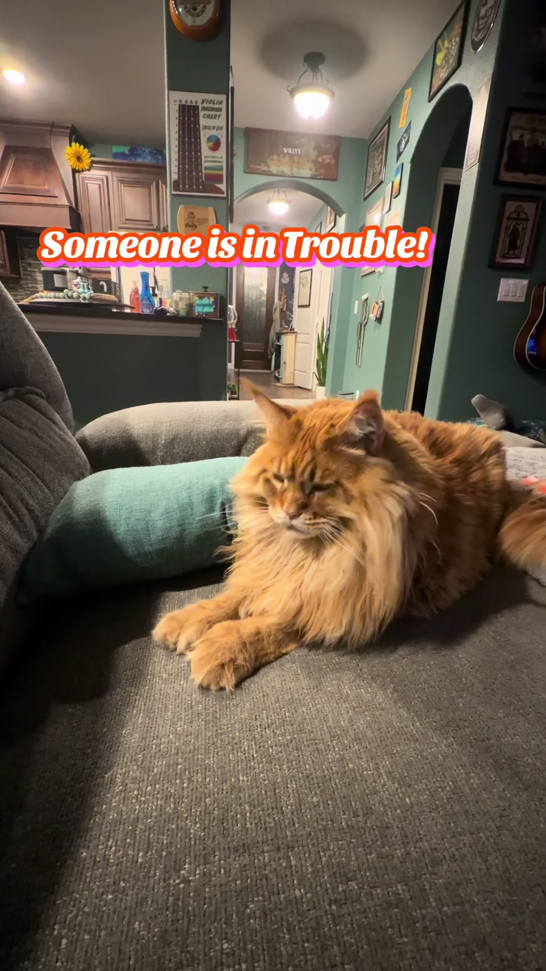 @Theodore Scritches McWiggles