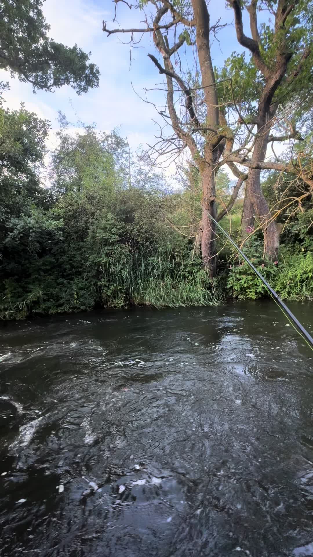 @Alba Trout 🏴