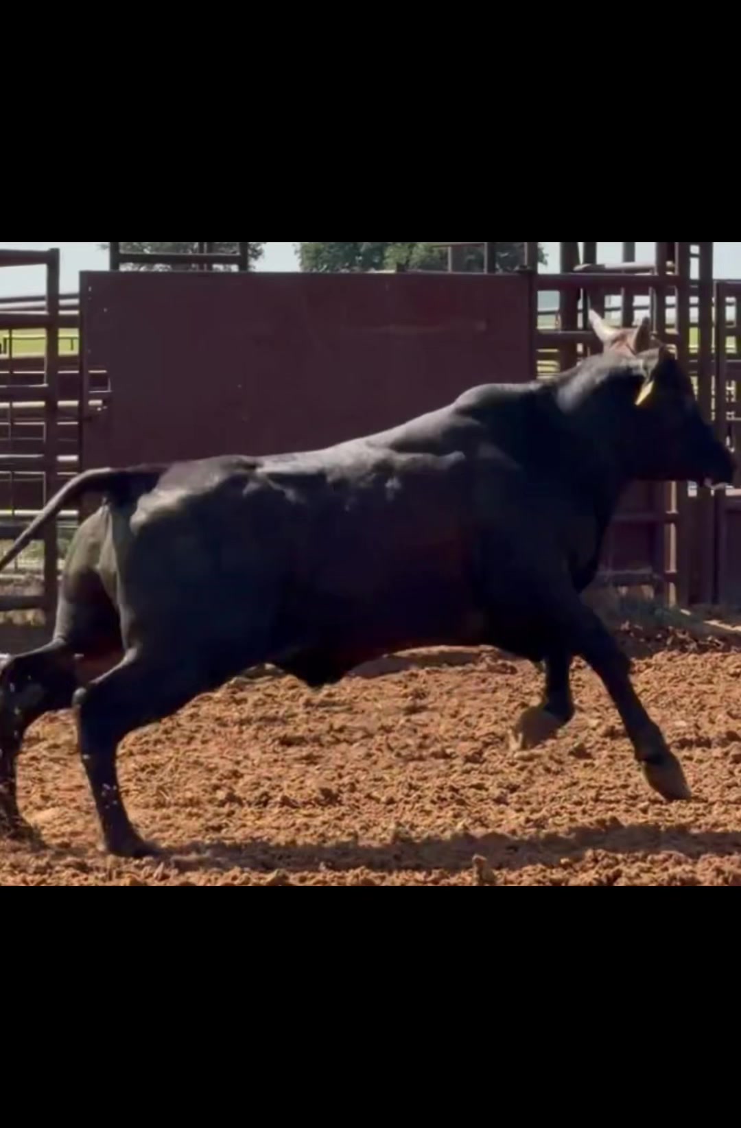 @6M Ranch & Antique Woods