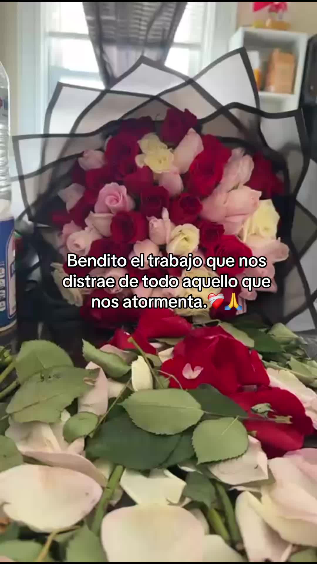@Dani🍃🌷