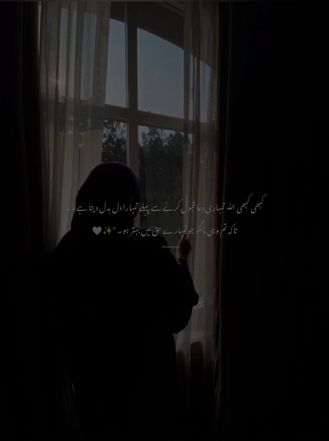 @قلم کی نمی🥀