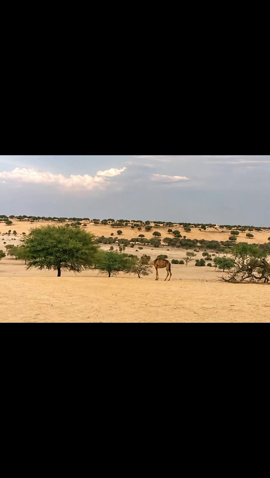 @Voix du Konoum