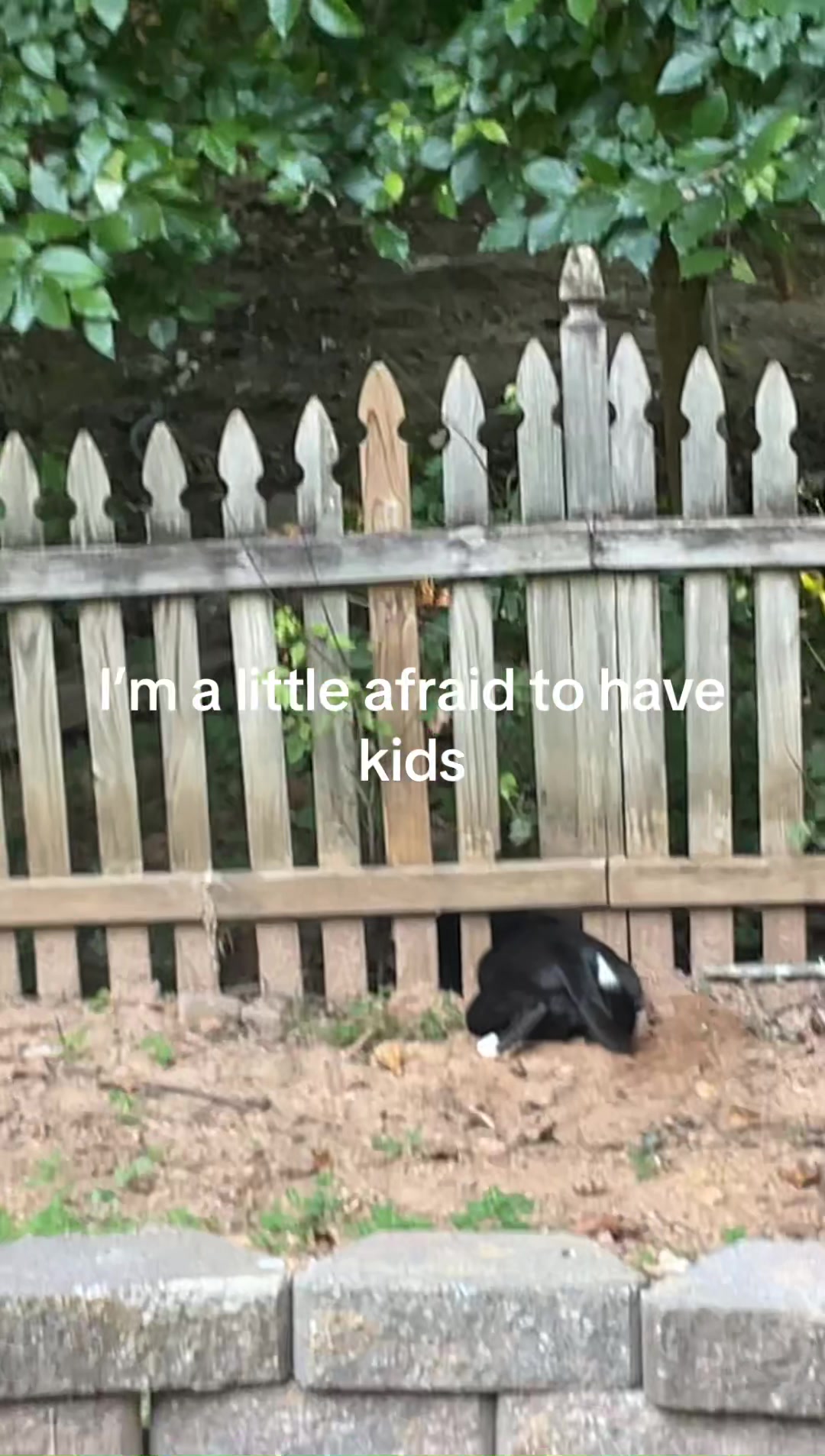 @Rose
