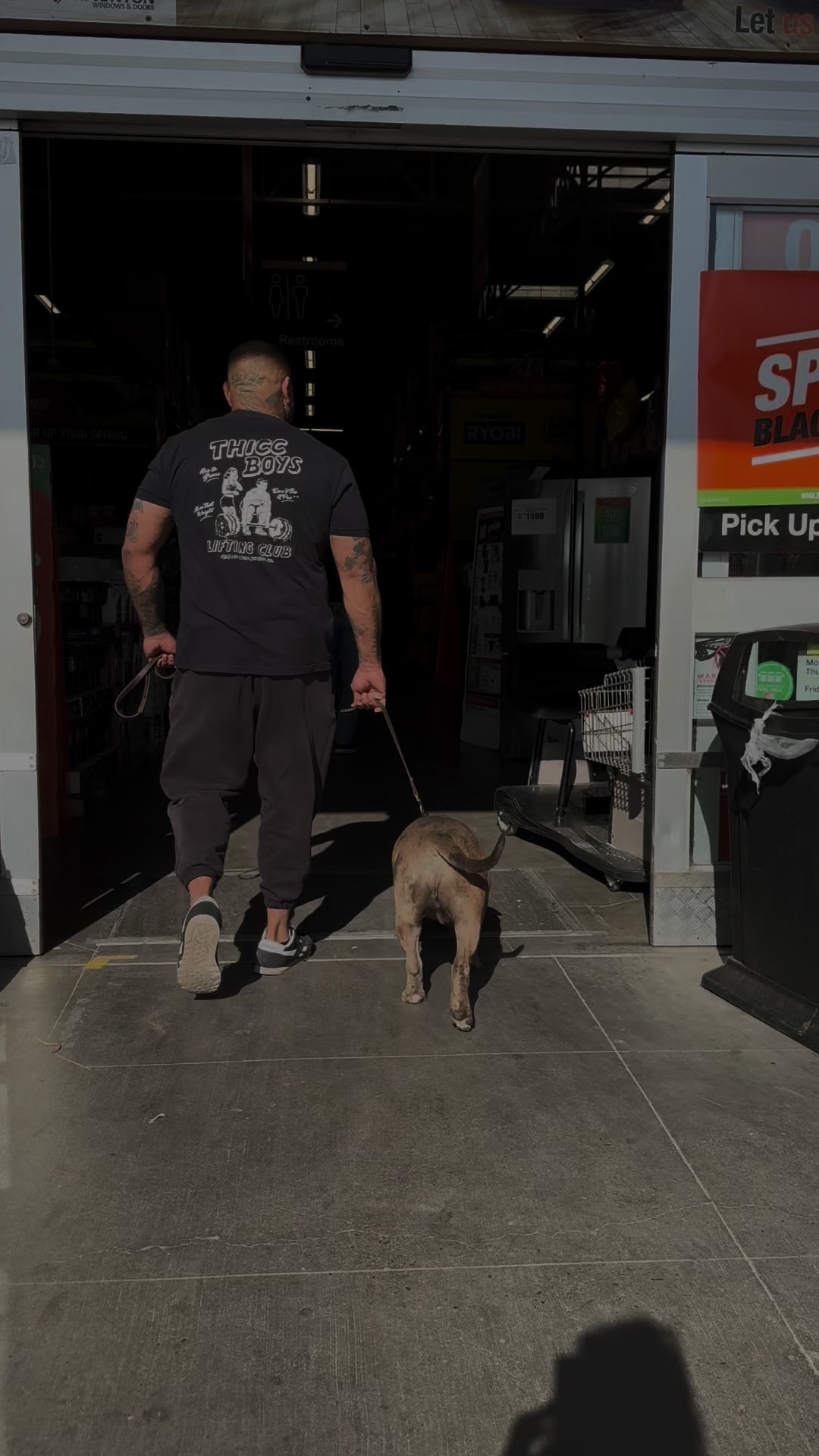 @Tactical K9s Dog Training