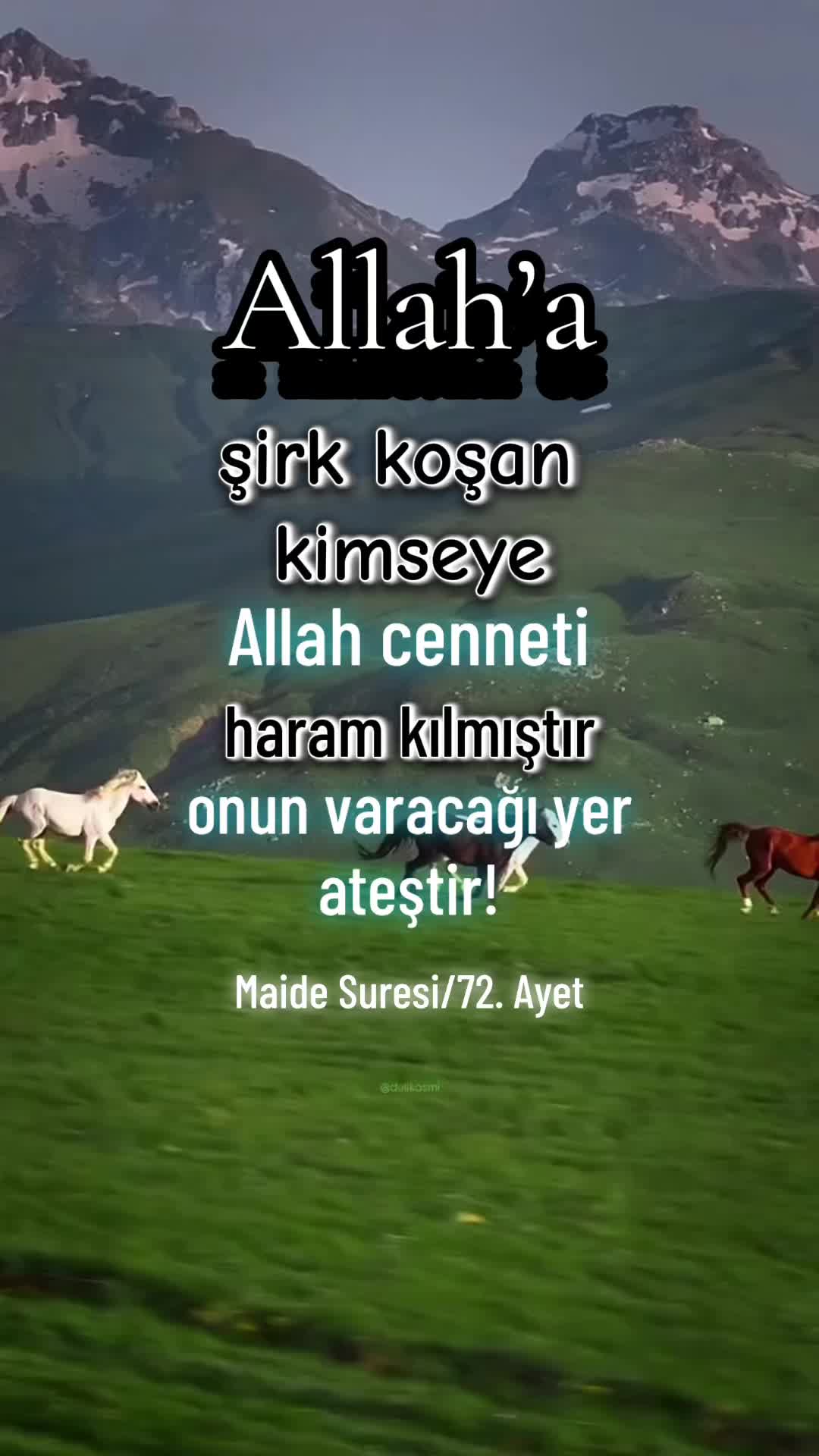 @azaelya
