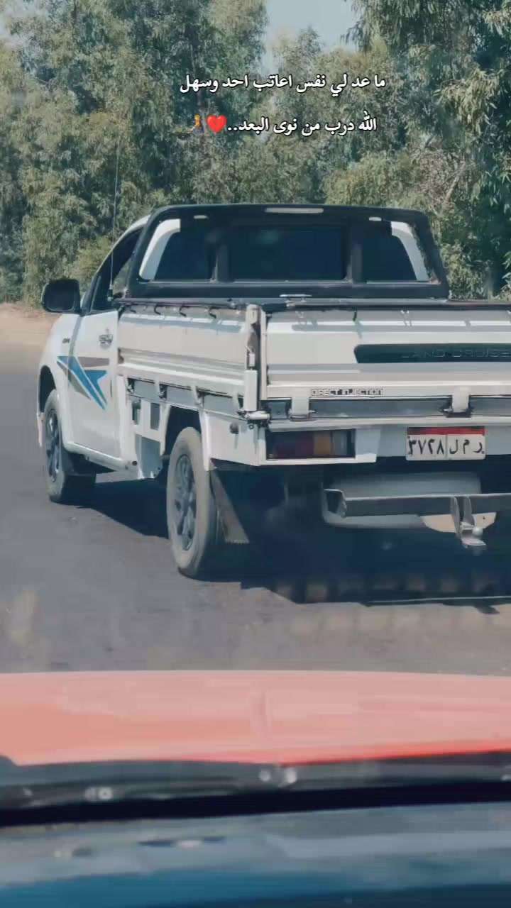 @محمد مقبل 🐺🎖️