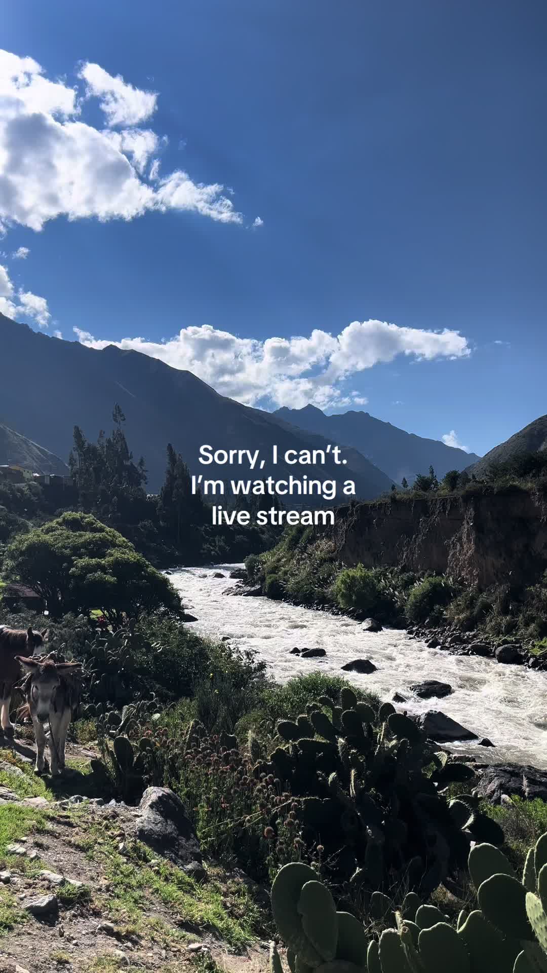 @Jen 🌿