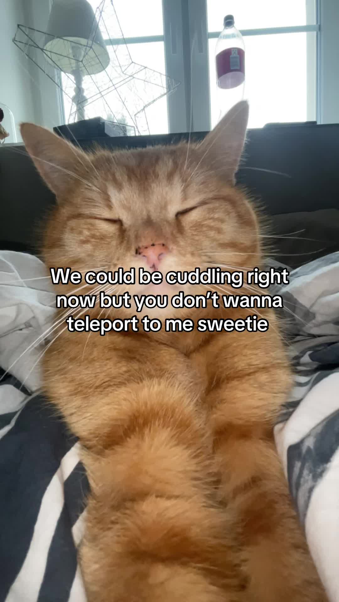 @Simba
