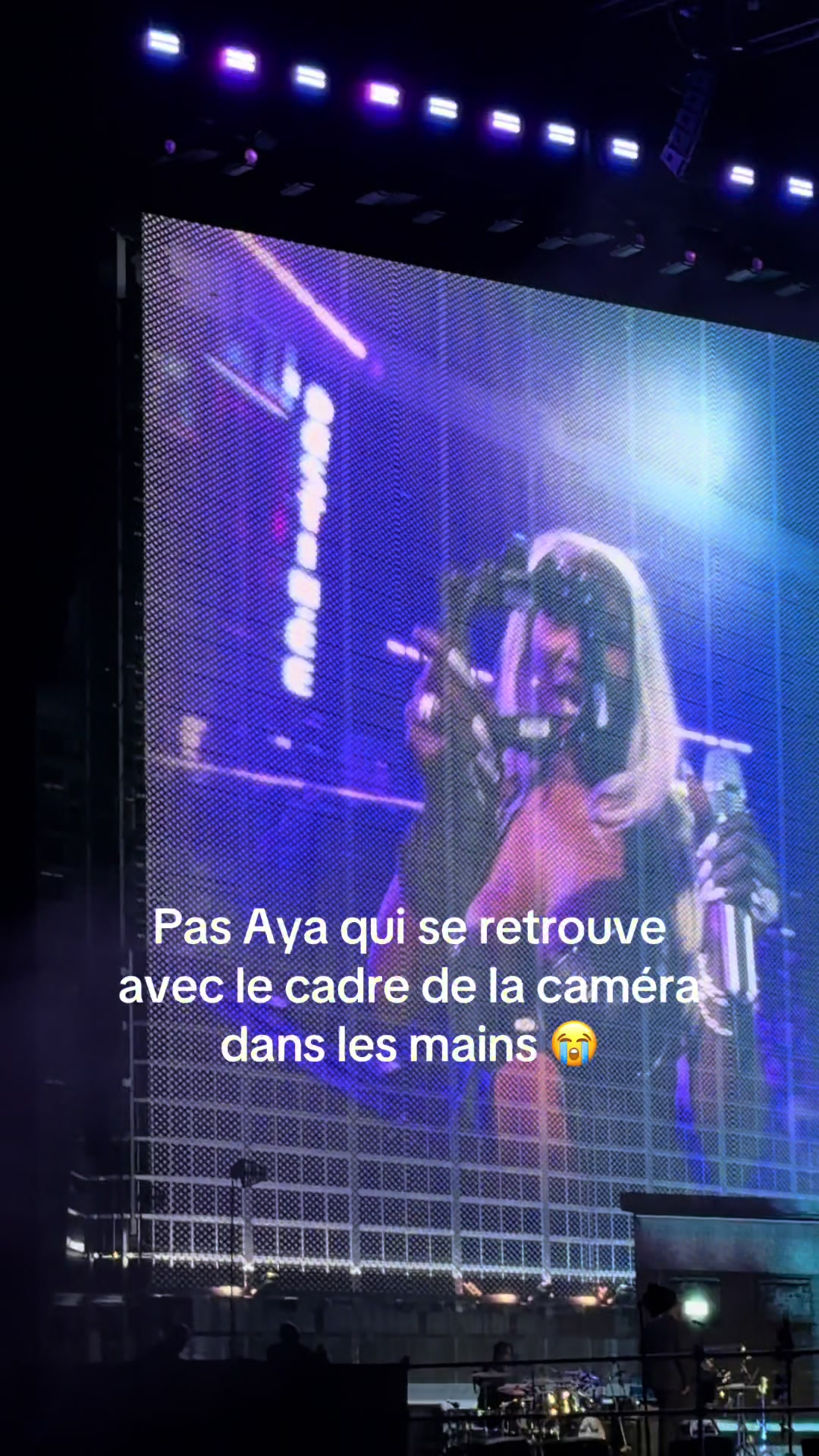 @Luca 🐝✨